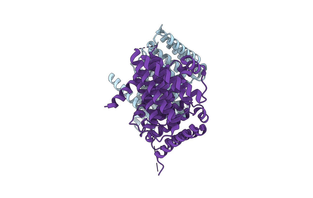 3MSV image
