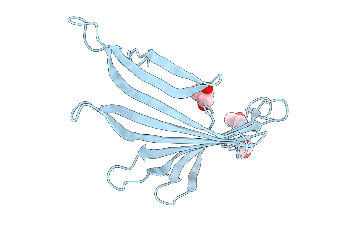 3MSW image