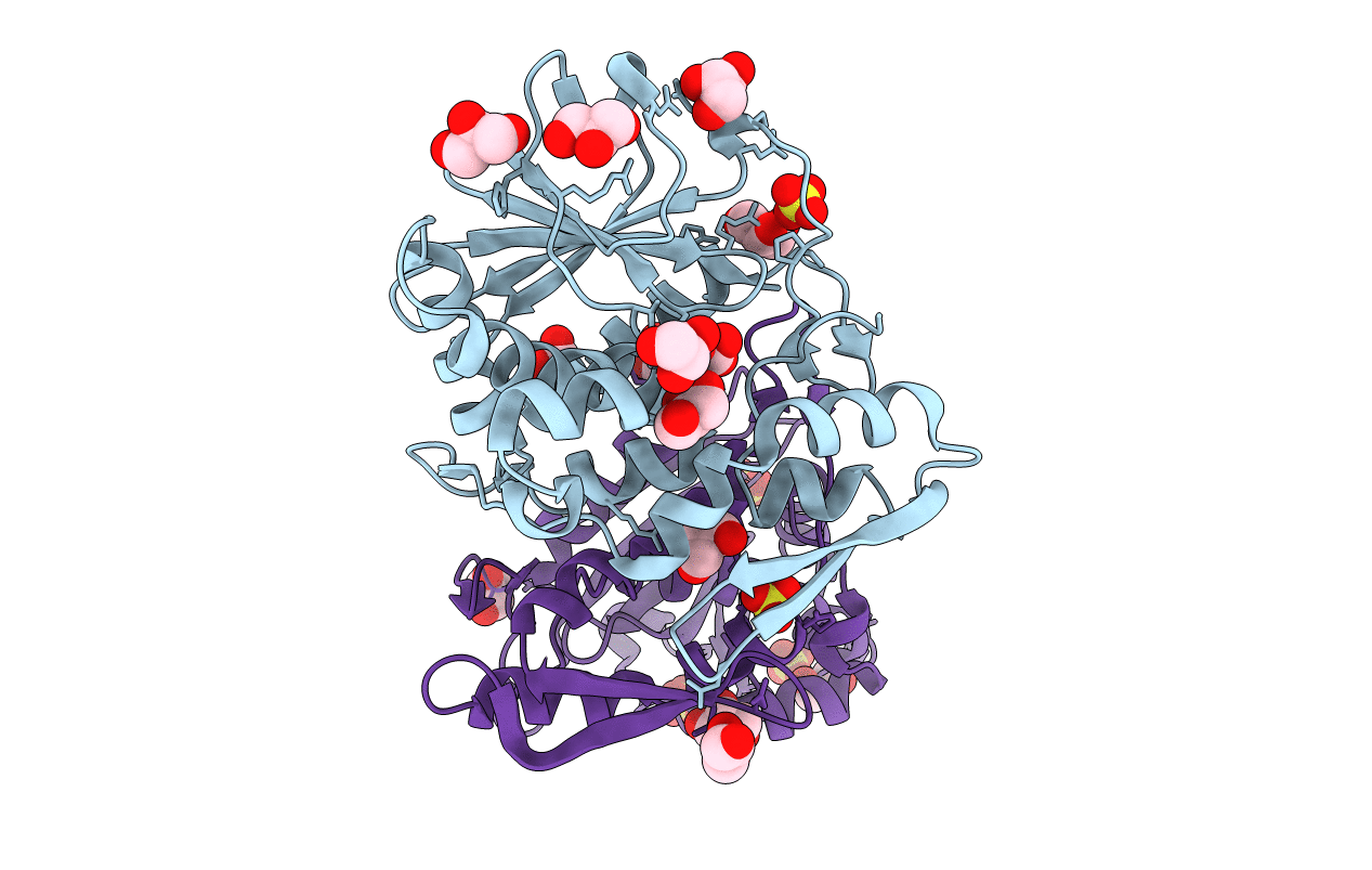 3MVG image