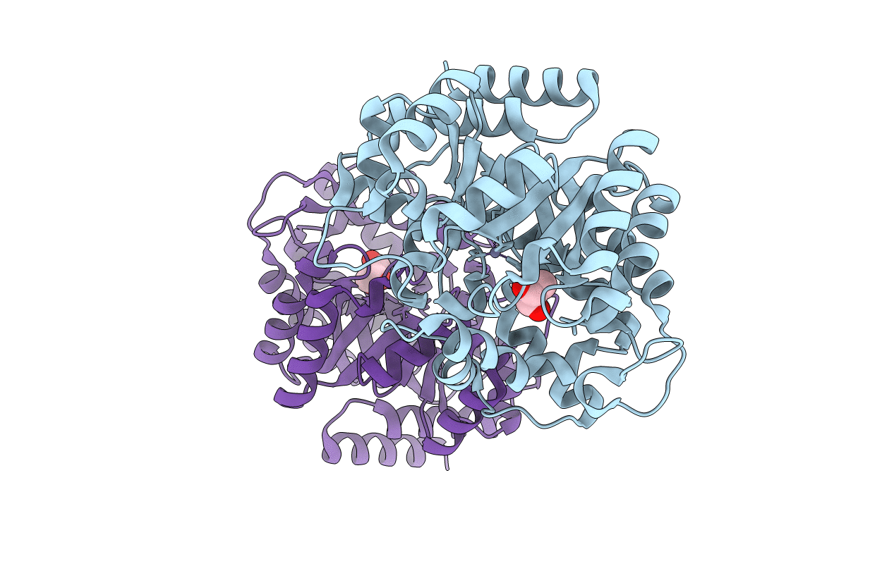 3MVI image