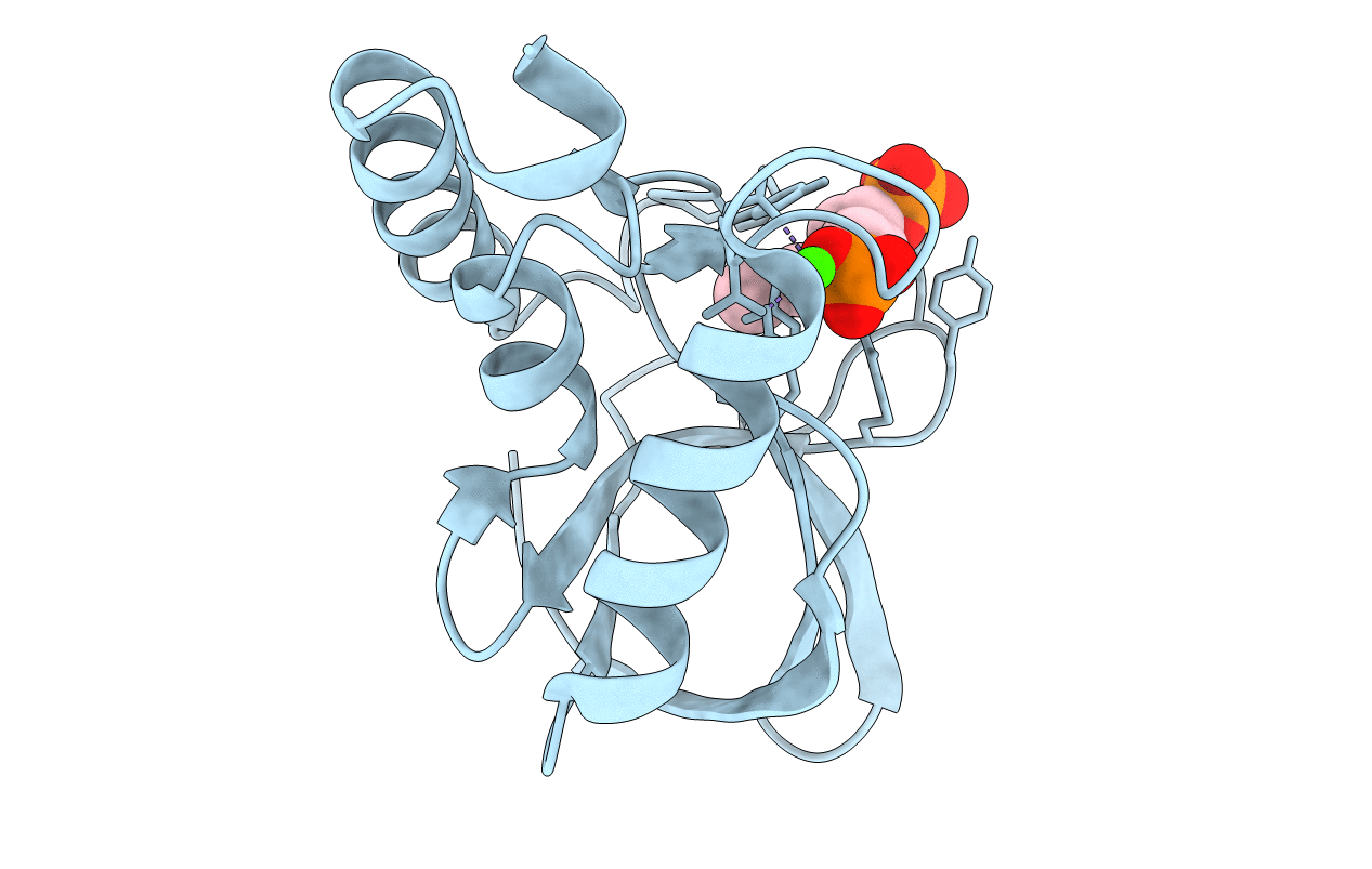 3MVV image