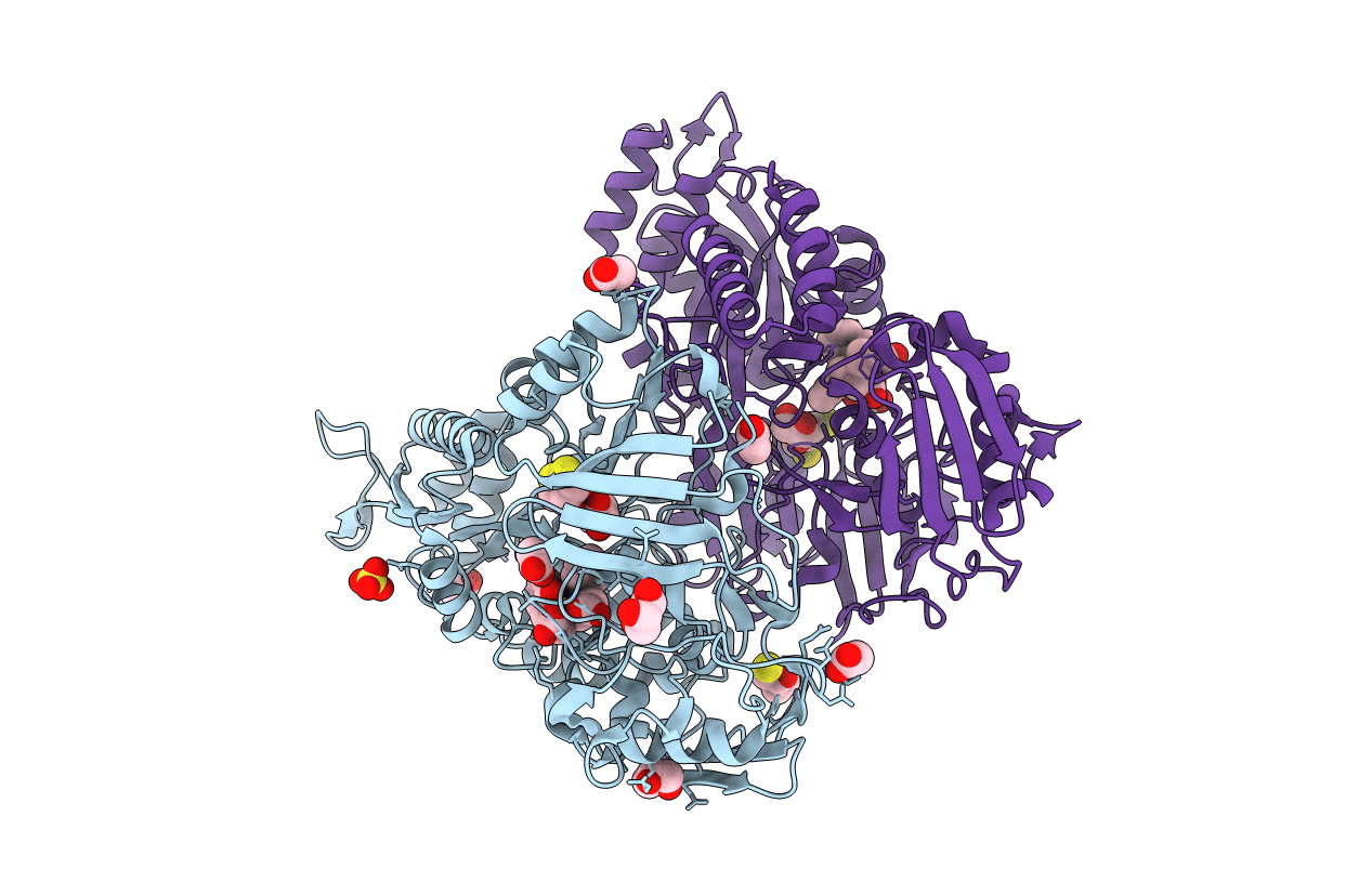 3MVX image