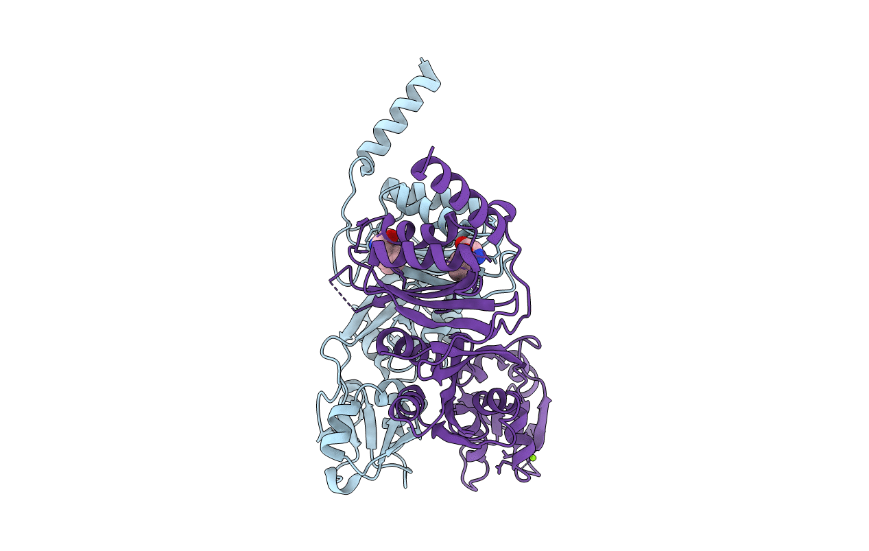 3MWB image