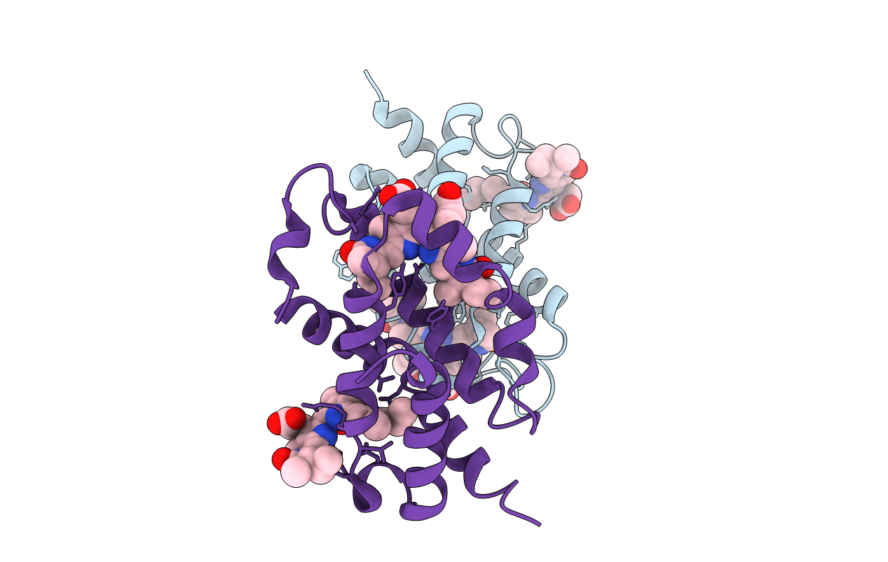 3MWN image