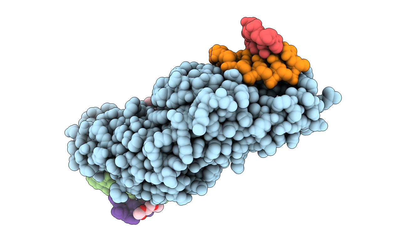 3MXA image