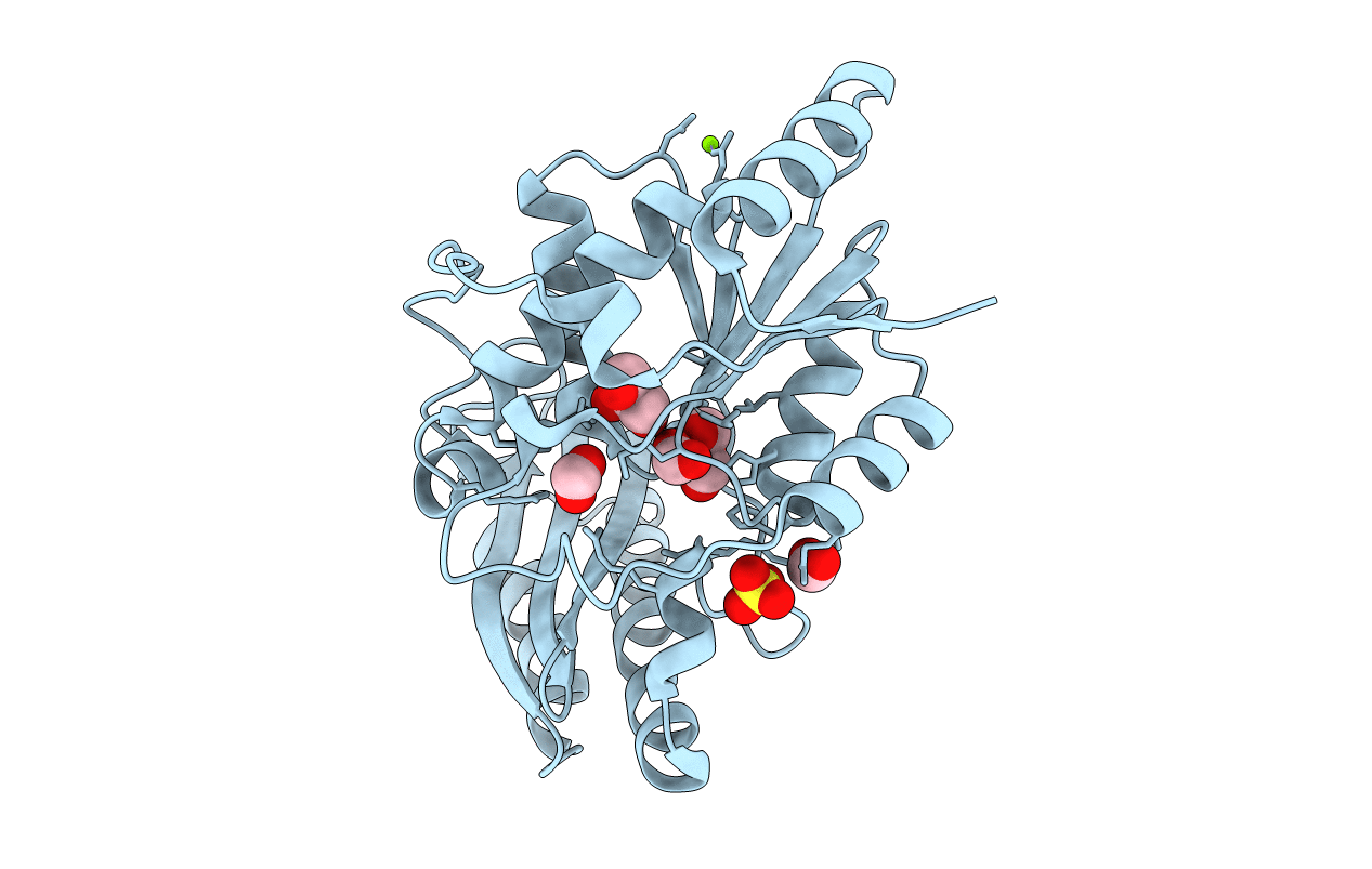 3MXT image