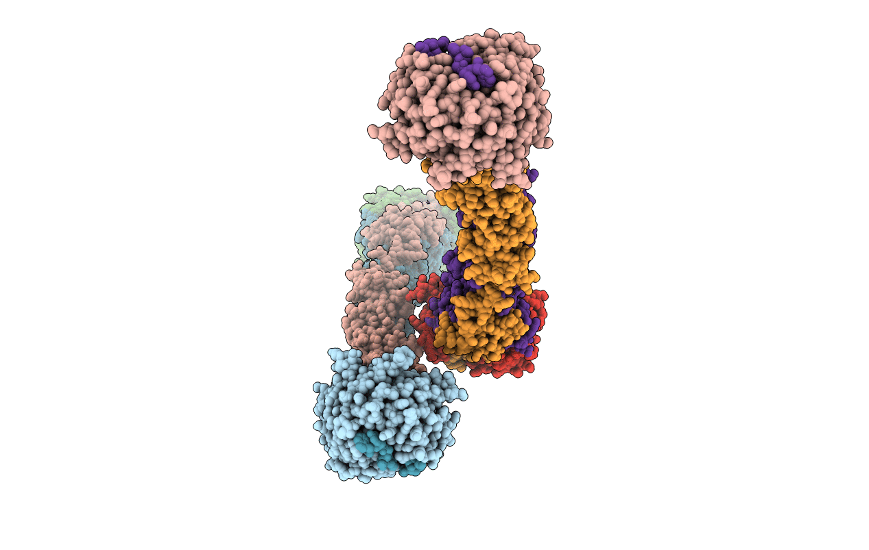3MZL image