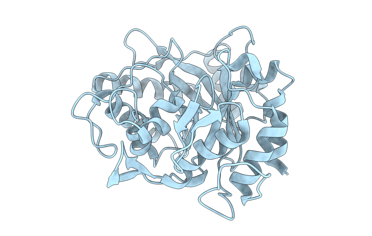 3N11 image