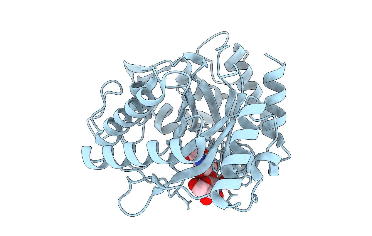 3N13 image