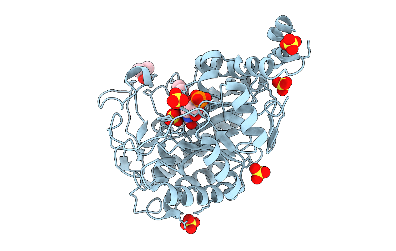 3N14 image