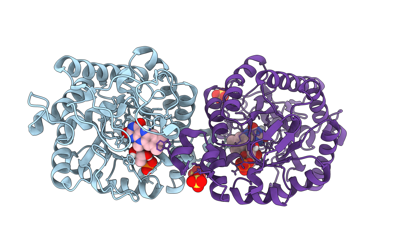 3N19 image