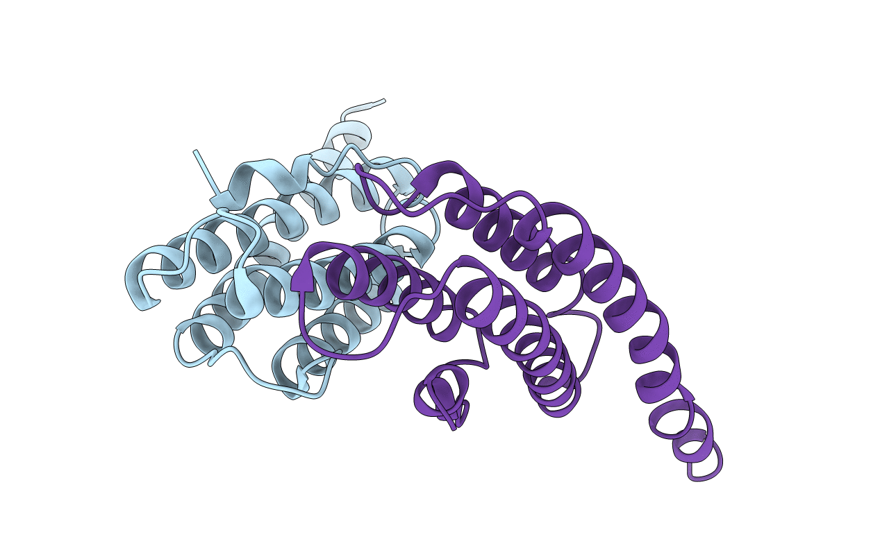 3N1B image