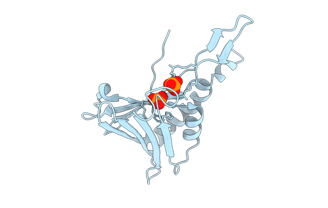 3N1H image