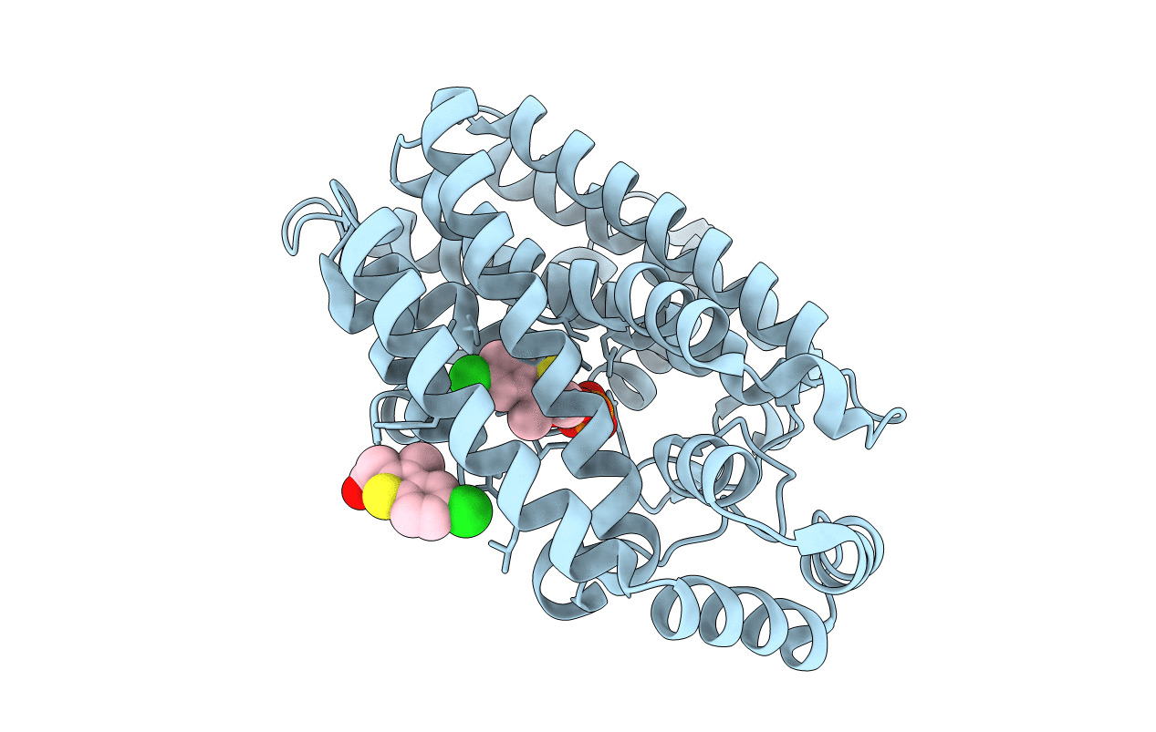 3N1V image
