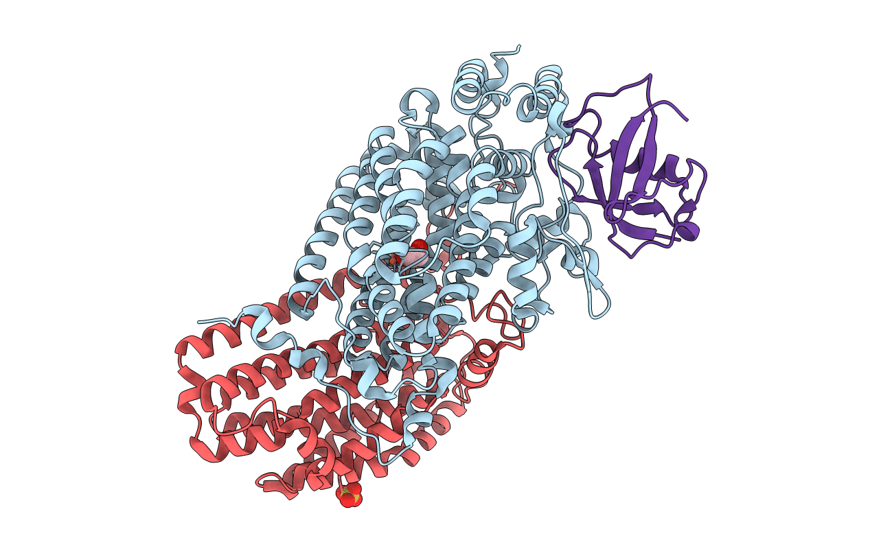3N1X image
