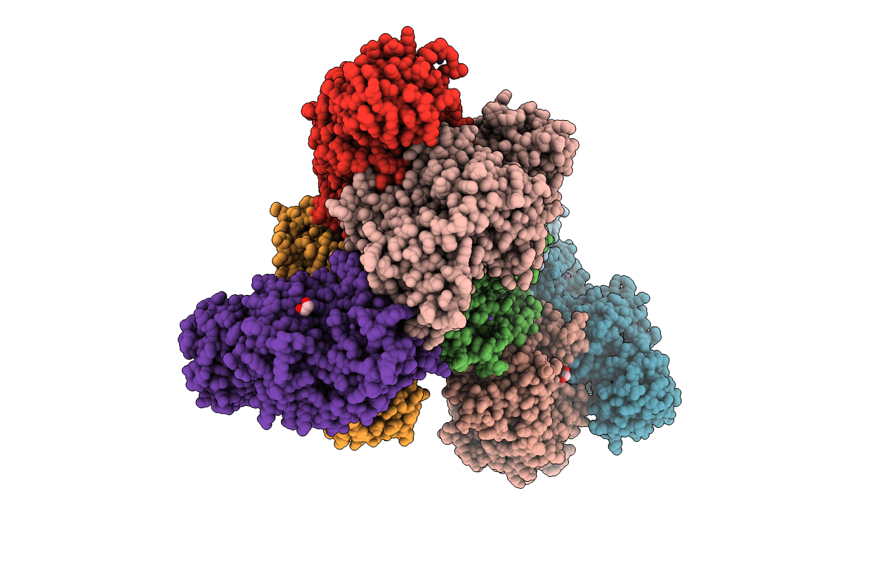 3N25 image