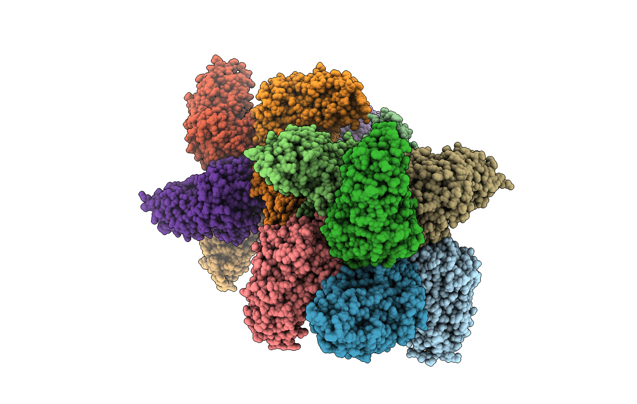 3N2C image