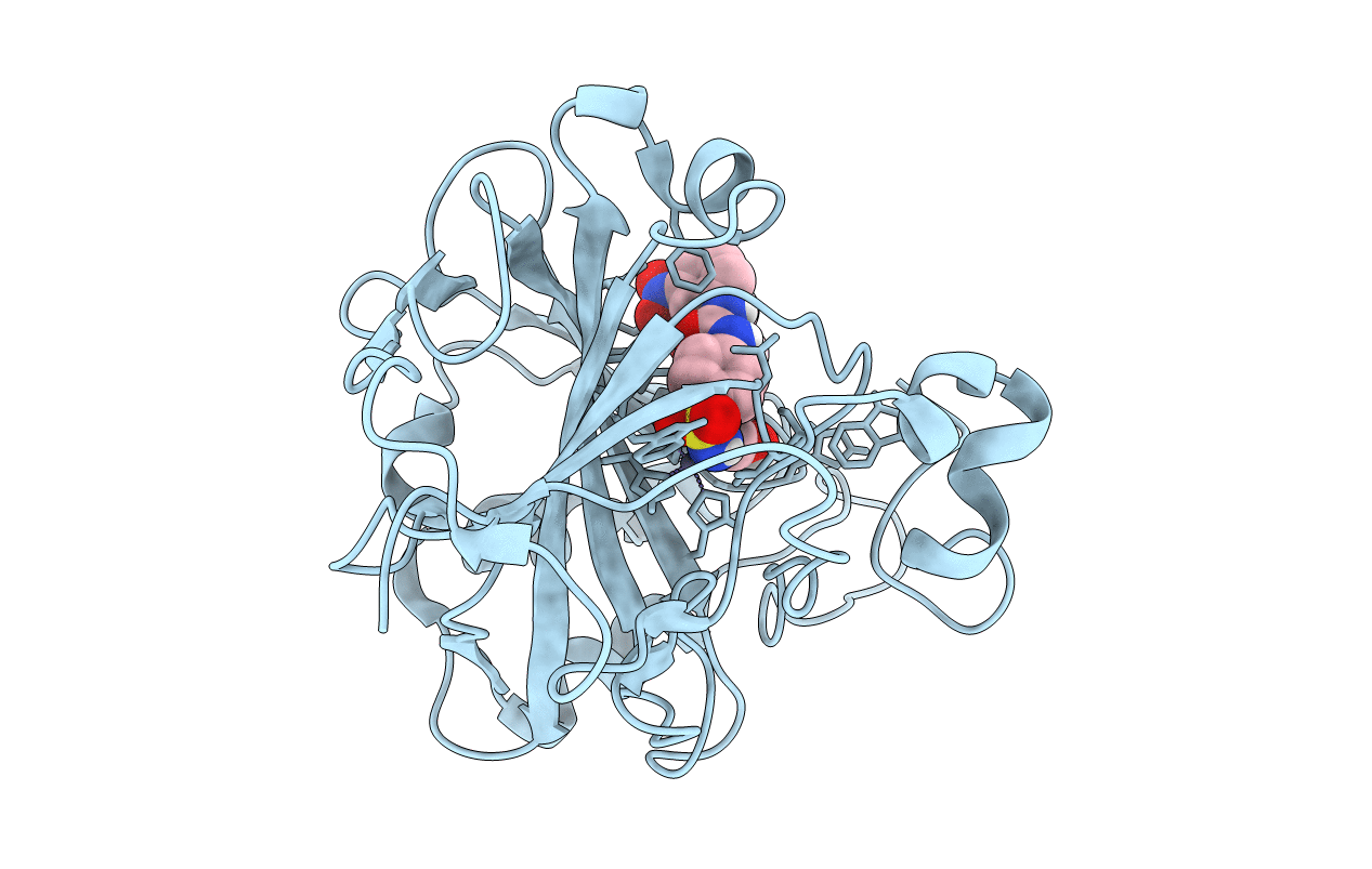 3N2P image