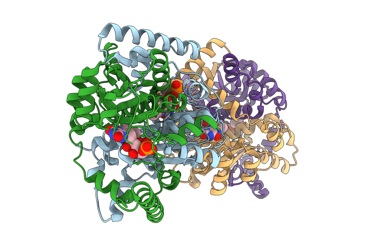 3N2S image