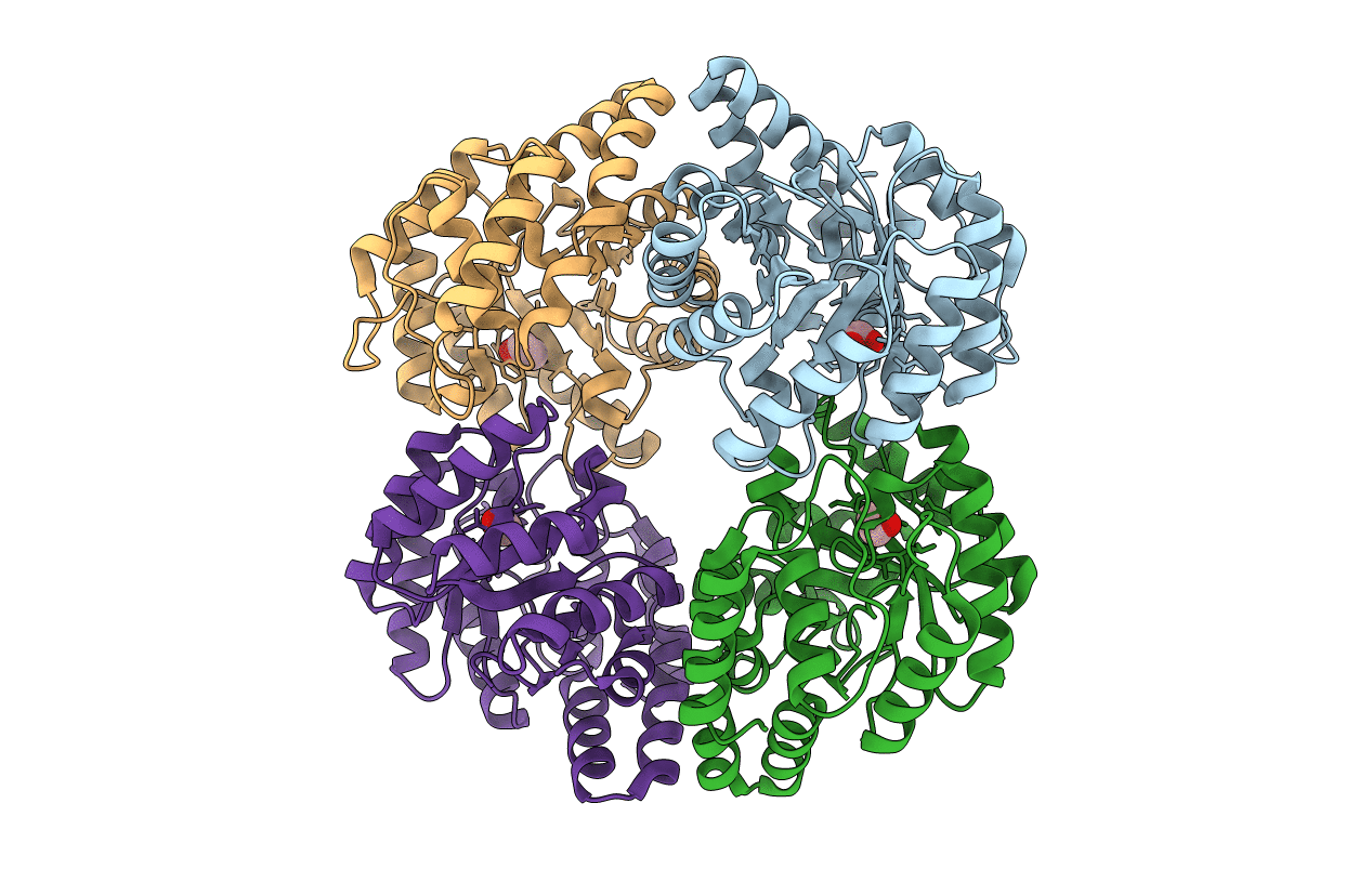 3N2X image