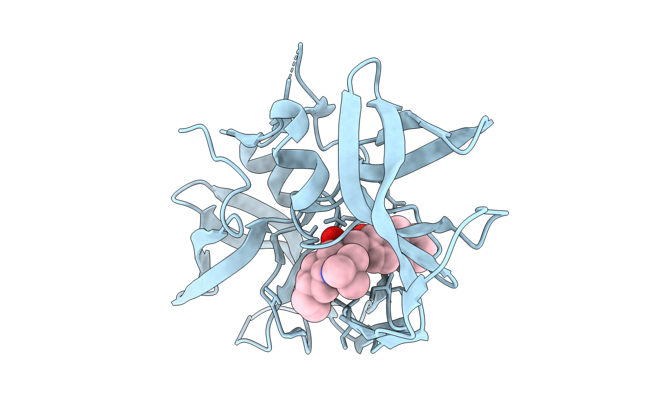 3N3I image