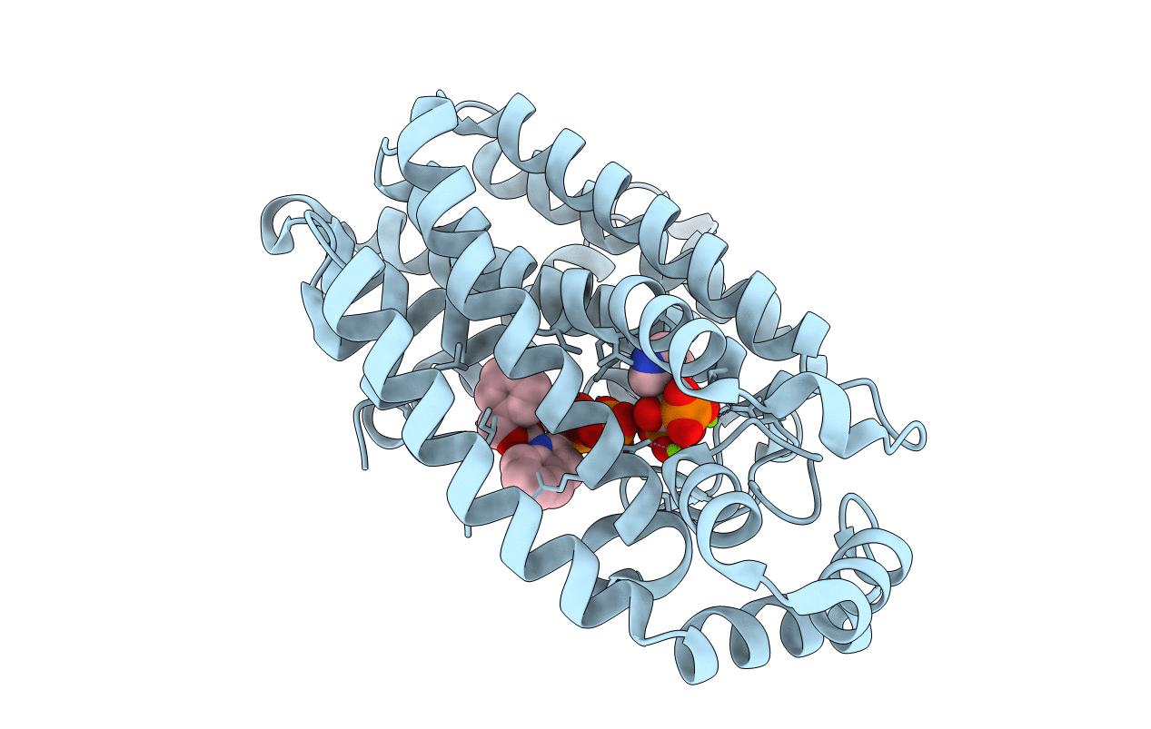 3N45 image
