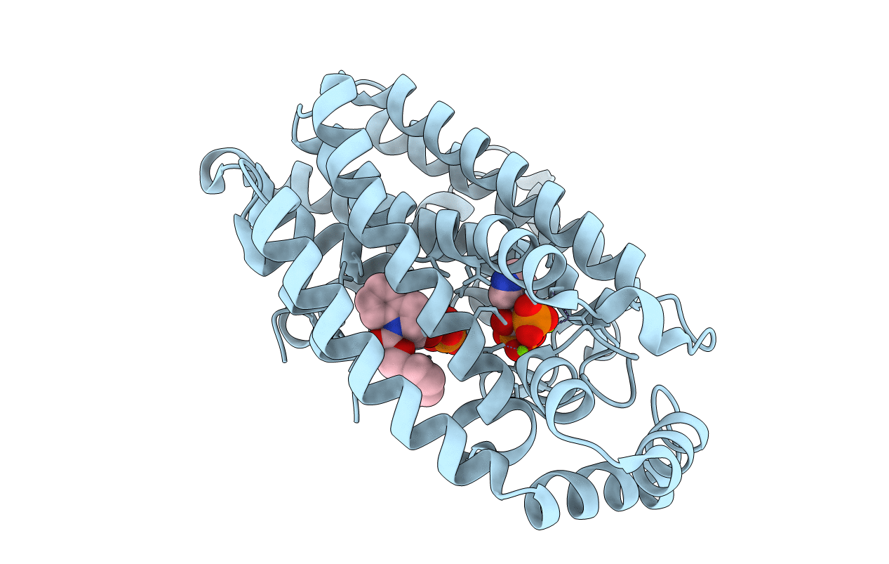 3N46 image