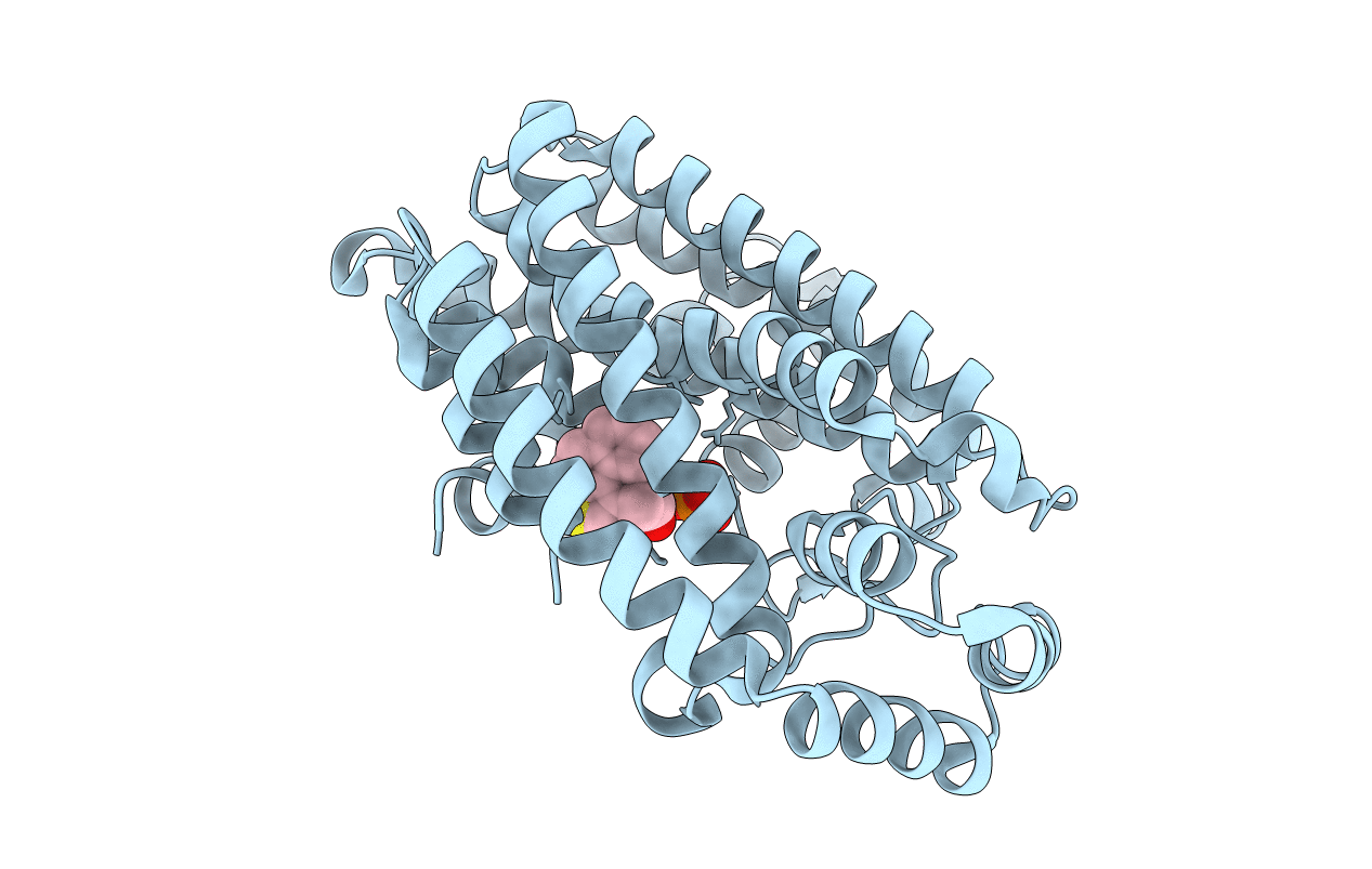 3N49 image
