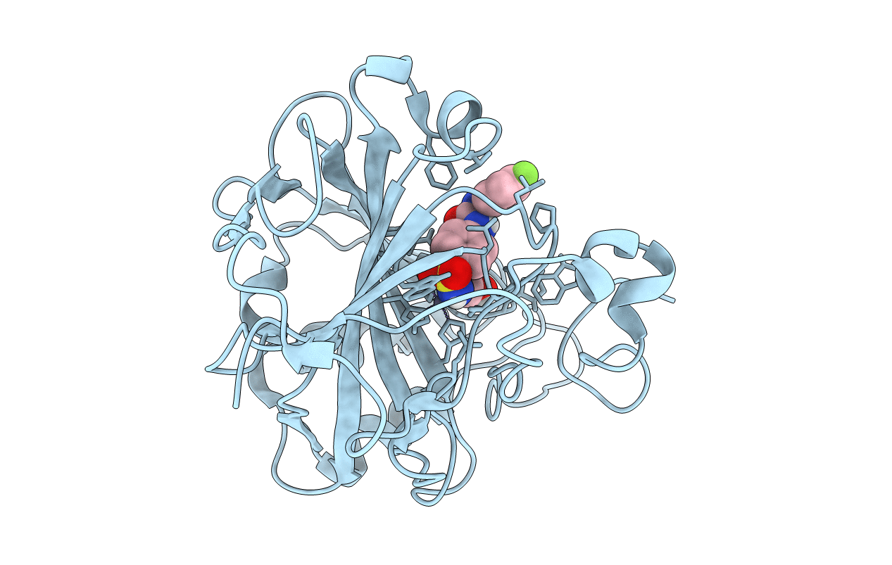3N4B image