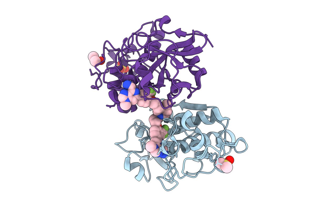3N4C image