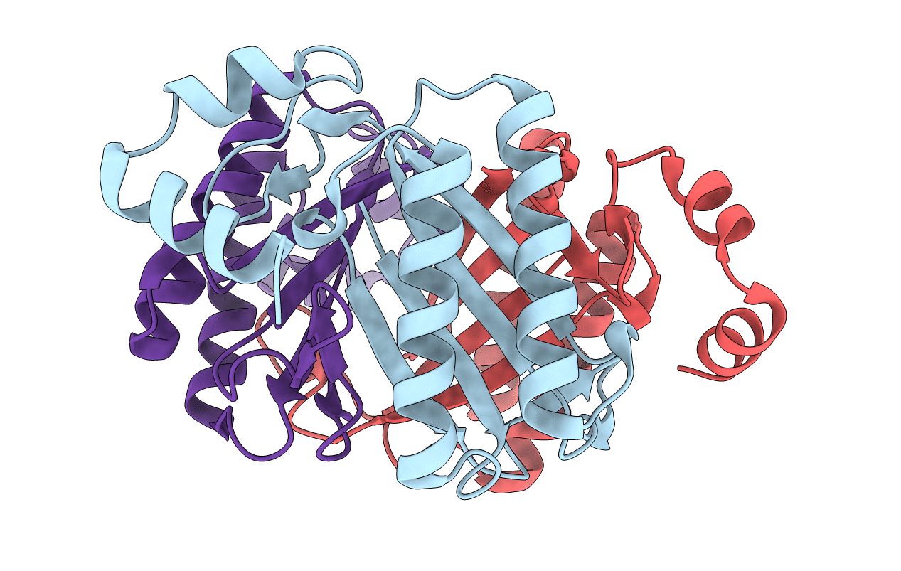 3N4G image