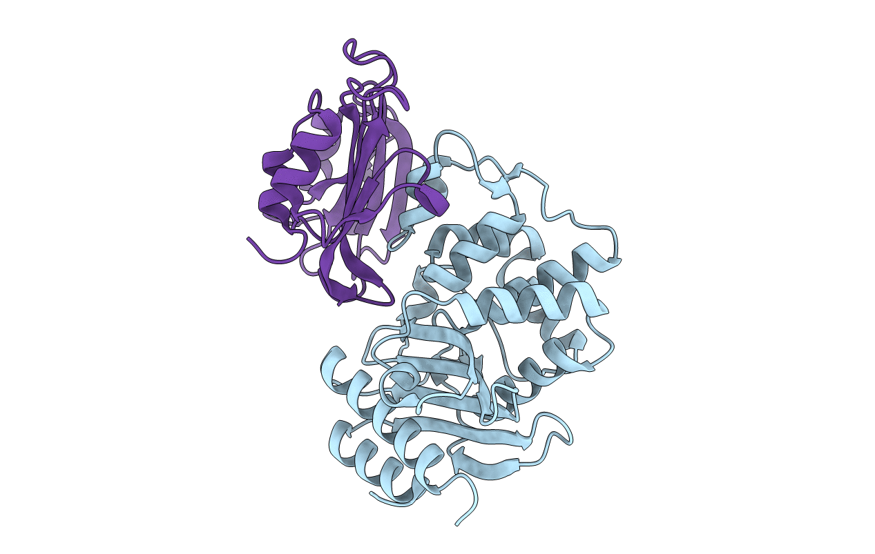 3N4I image