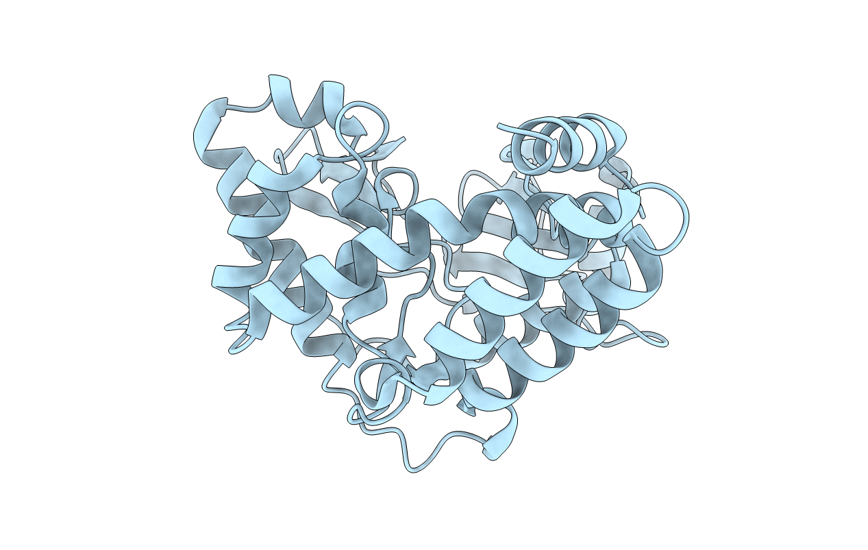 3N4T image