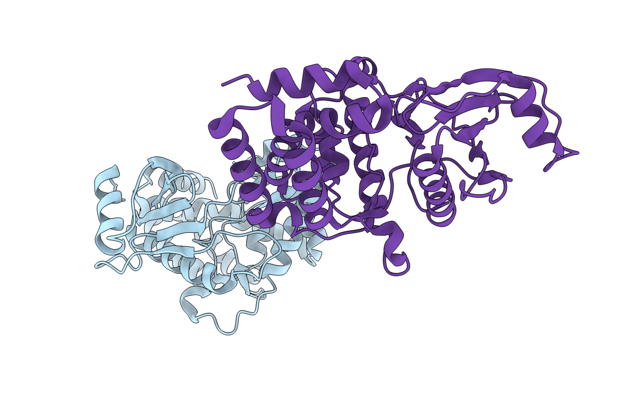 3N4V image