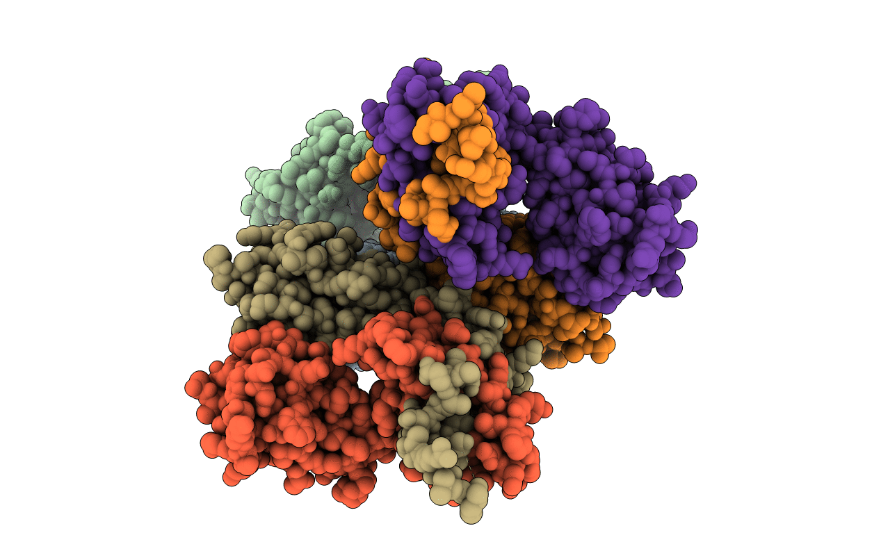 3N50 image