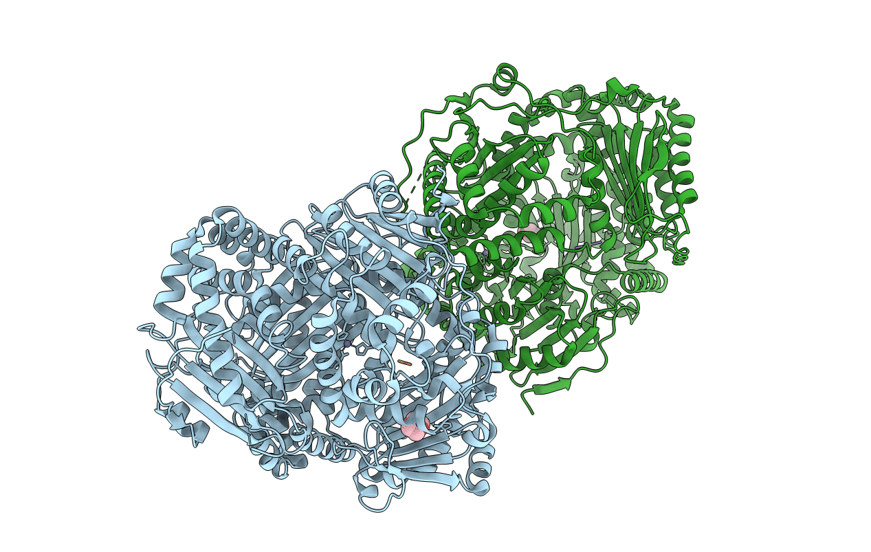 3N56 image