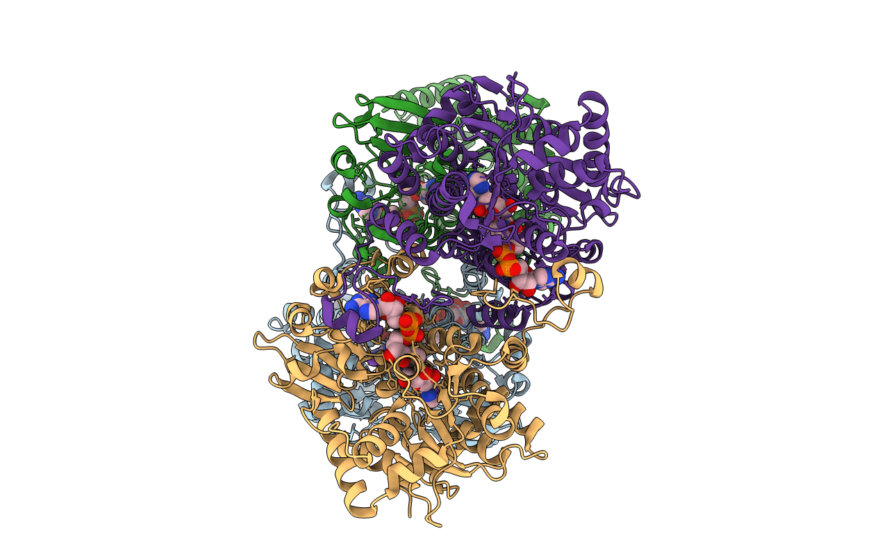 3N58 image