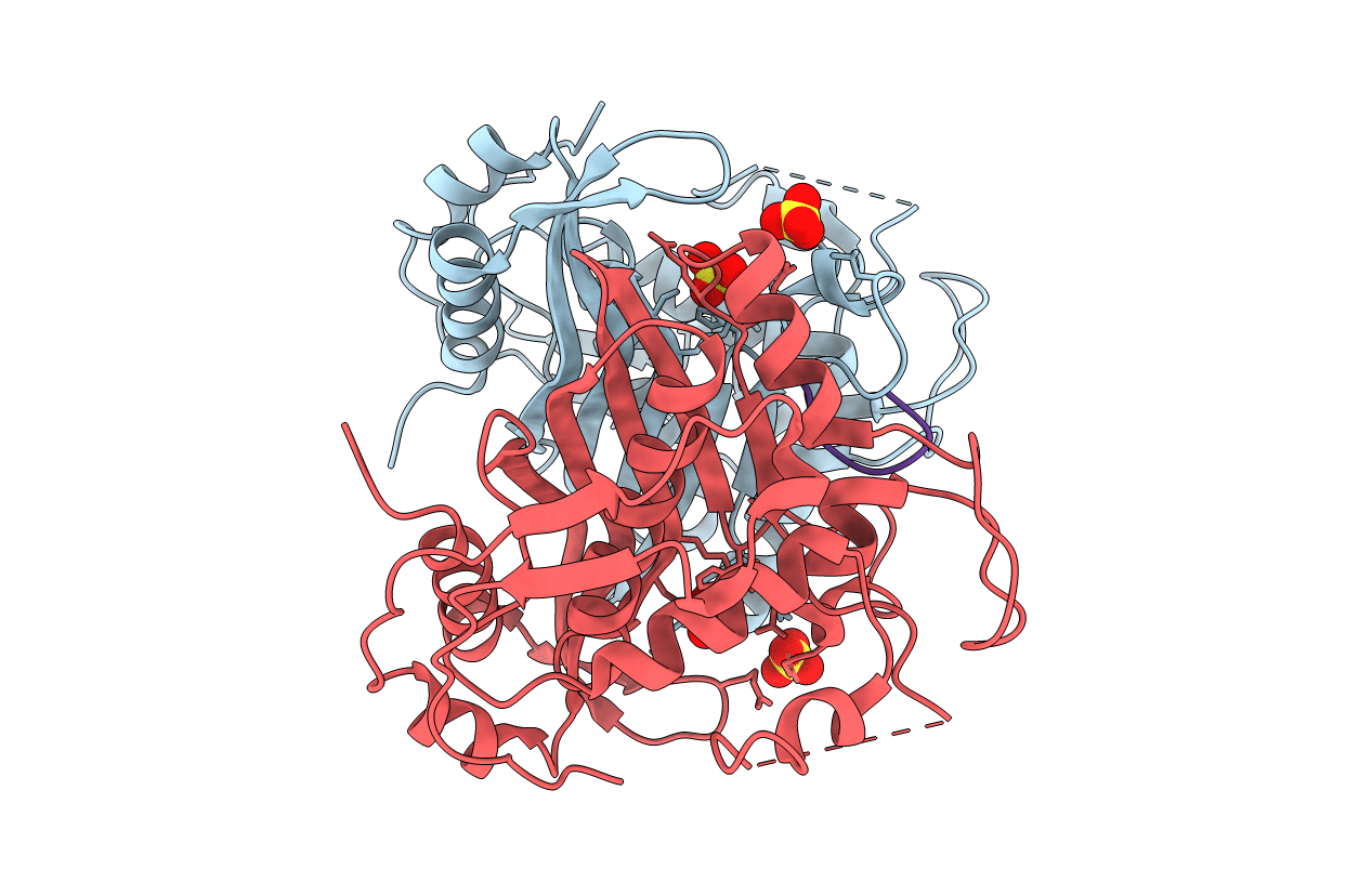 3N5E image