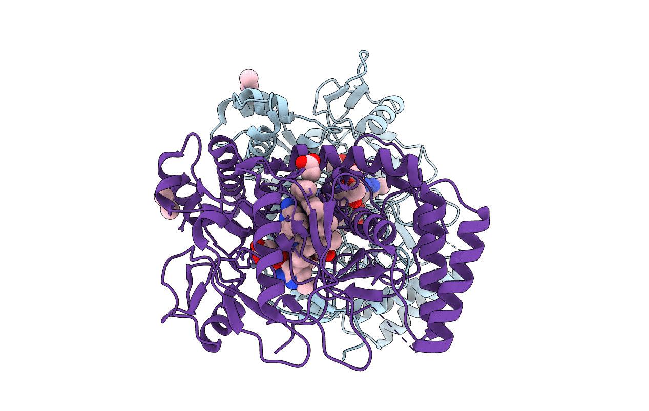 3N5P image