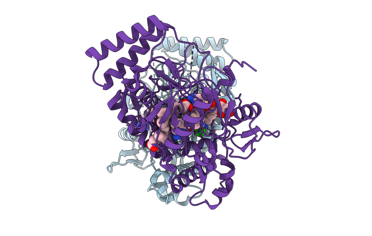 3N65 image