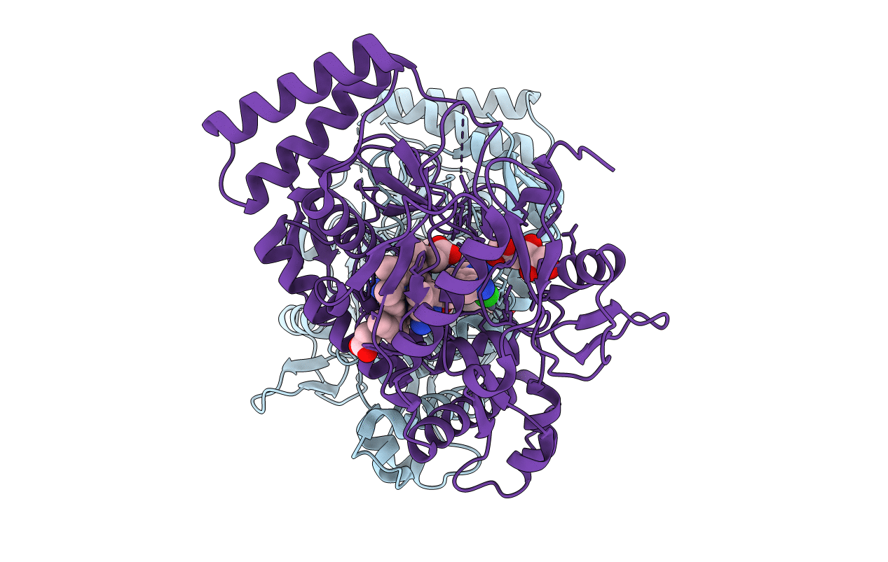 3N66 image