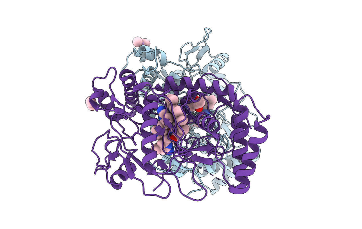 3N6B image