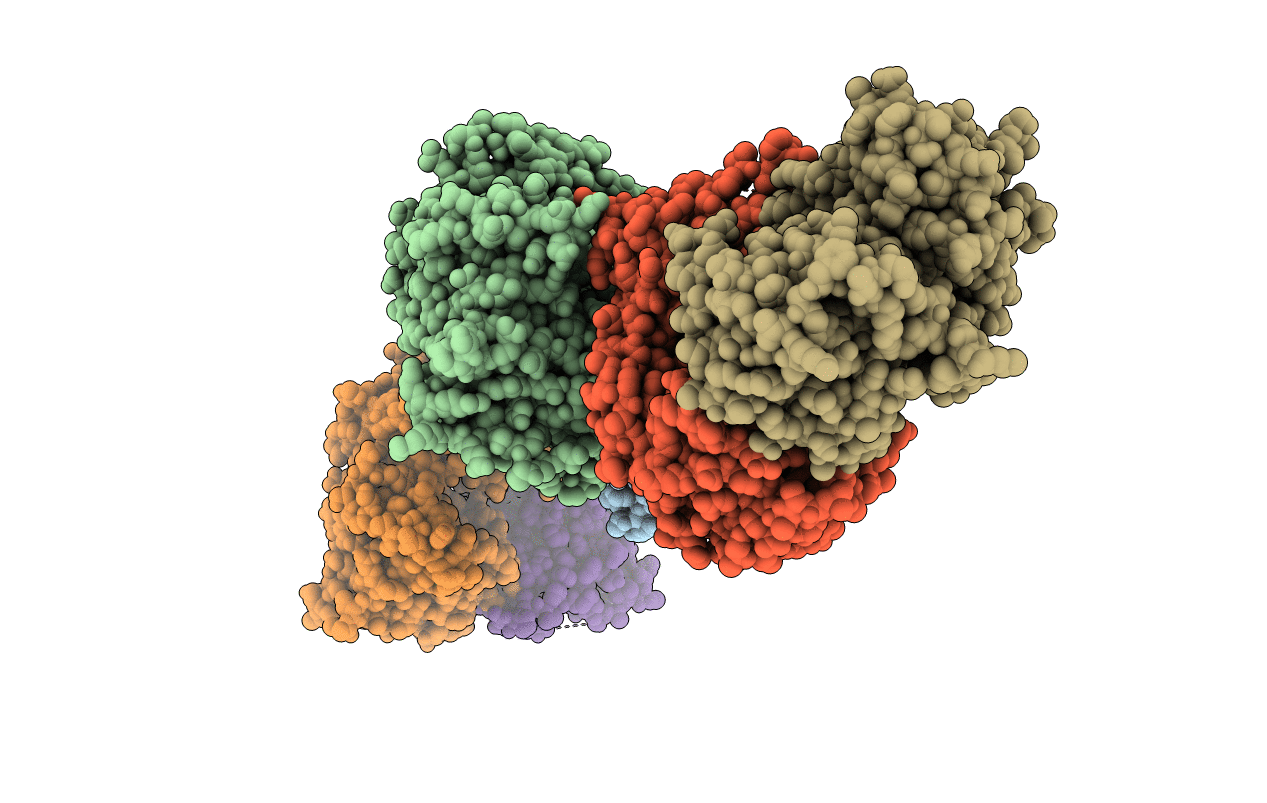 3N6V image