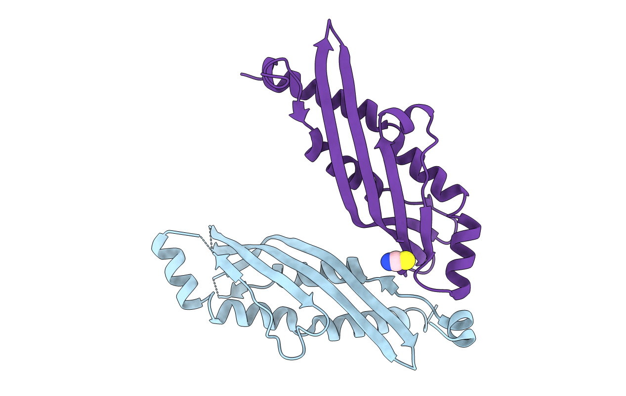 3N72 image