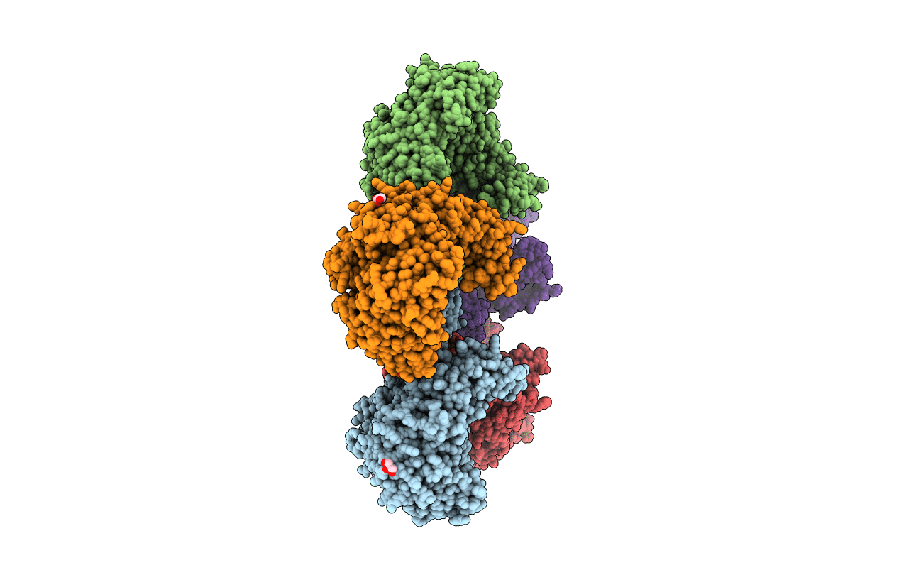 3N75 image