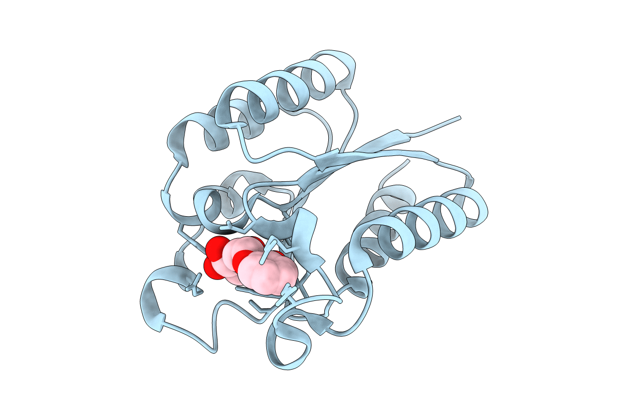 3N76 image