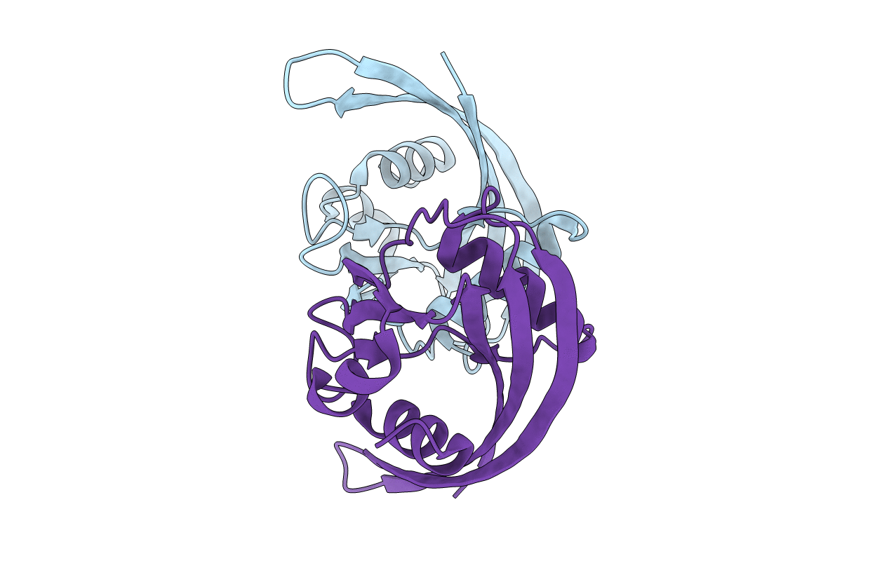 3N77 image