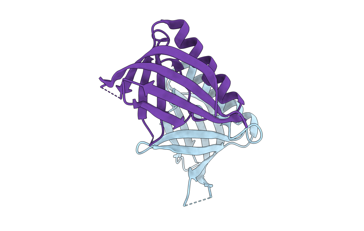 3N7C image
