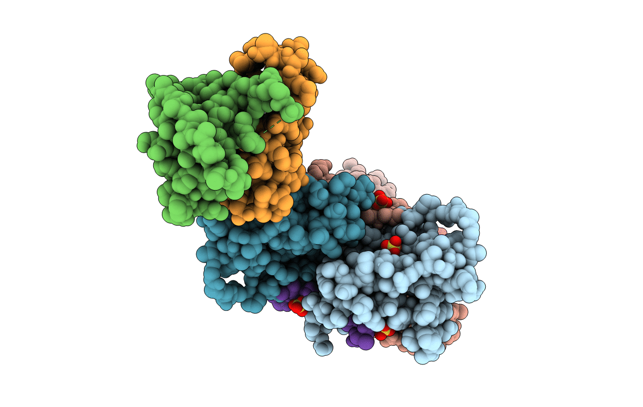 3N7P image