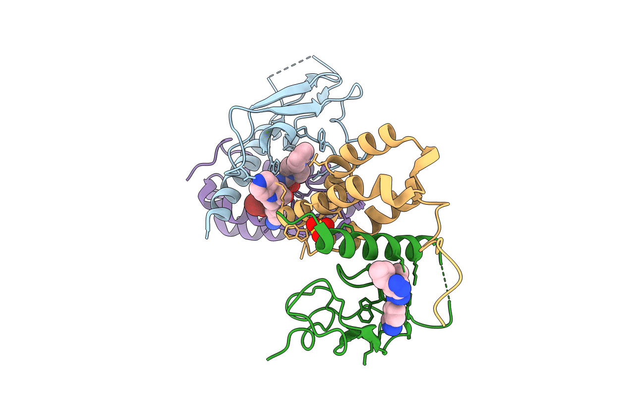 3N7S image